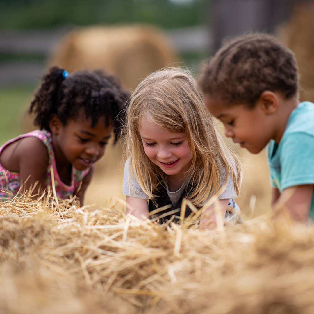 Three children lean over a hay bale outdoors, smiling as they play. "Three children lean over a hay bale outdoors, smiling as they play."
