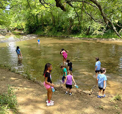 Children wading and playing in a shallow river beside a forested bank.